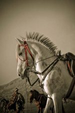 Benoit Briand - In front of Mt Bromo